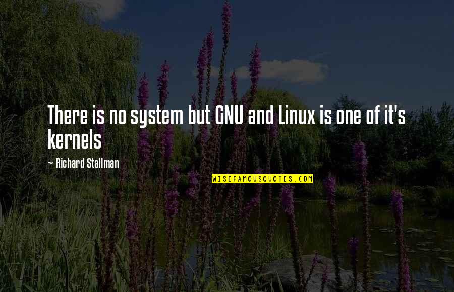 Disembunyikan Bahasa Quotes By Richard Stallman: There is no system but GNU and Linux Disembunyikan Bahasa Quotes By Richard Stallman: There is no system but GNU and Linux