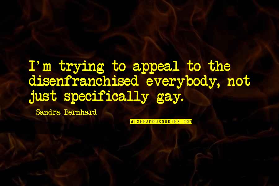 Disenfranchised Quotes By Sandra Bernhard: I'm trying to appeal to the disenfranchised everybody,