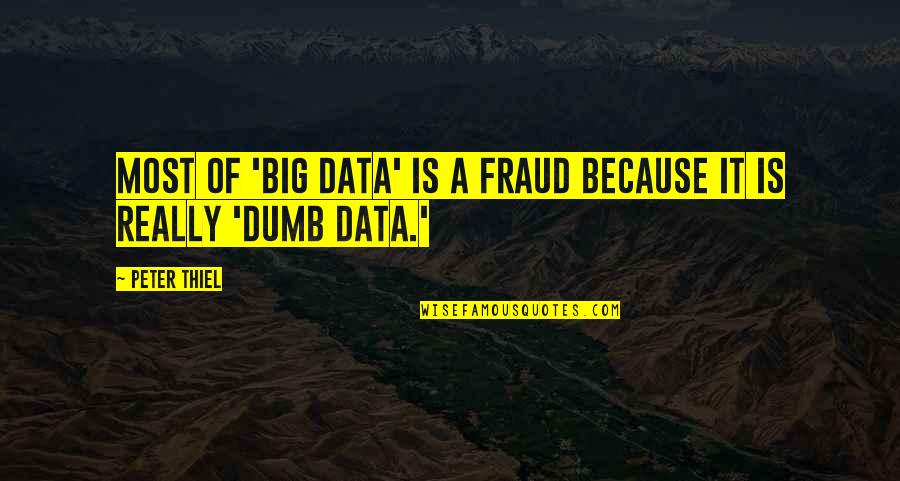 Disenthrallment Quotes By Peter Thiel: Most of 'big data' is a fraud because