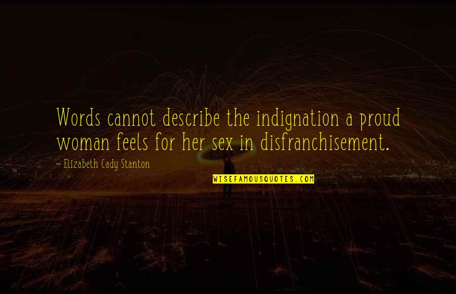 Disfranchisement Quotes By Elizabeth Cady Stanton: Words cannot describe the indignation a proud woman