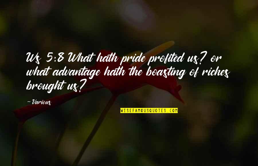 Disfuncion Erectil Quotes By Various: Ws 5:8 What hath pride profited us? or