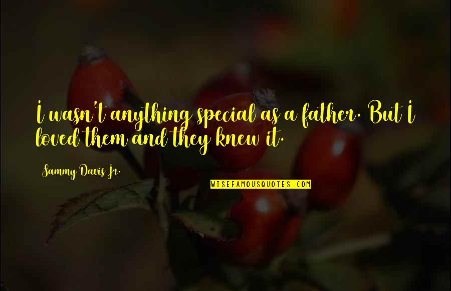 Disgorging Wine Quotes By Sammy Davis Jr.: I wasn't anything special as a father. But