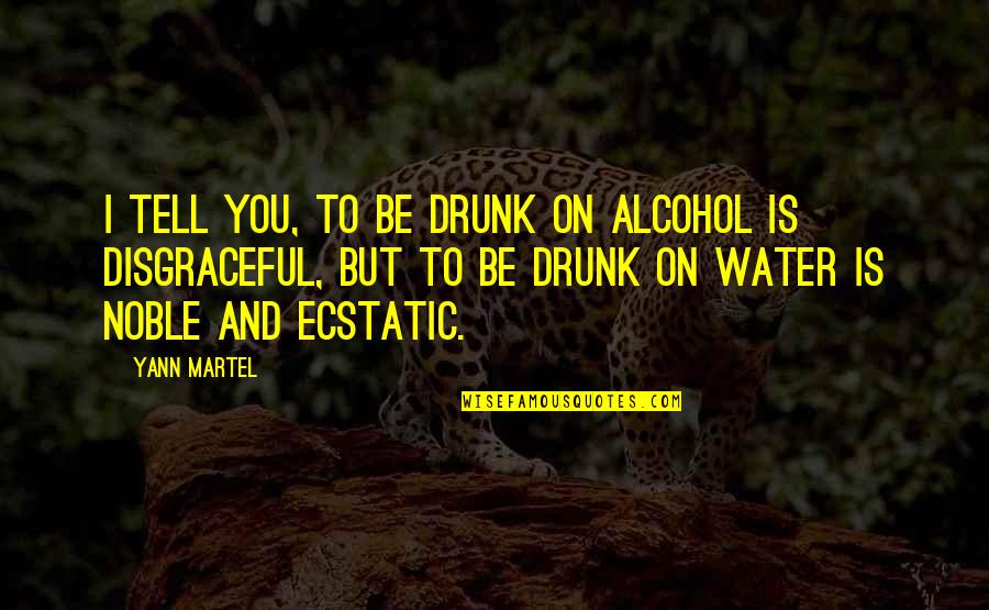 Disgraceful Quotes By Yann Martel: I tell you, to be drunk on alcohol