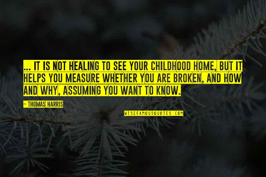 Disgraces Wonderland Quotes By Thomas Harris: ... It is not healing to see your