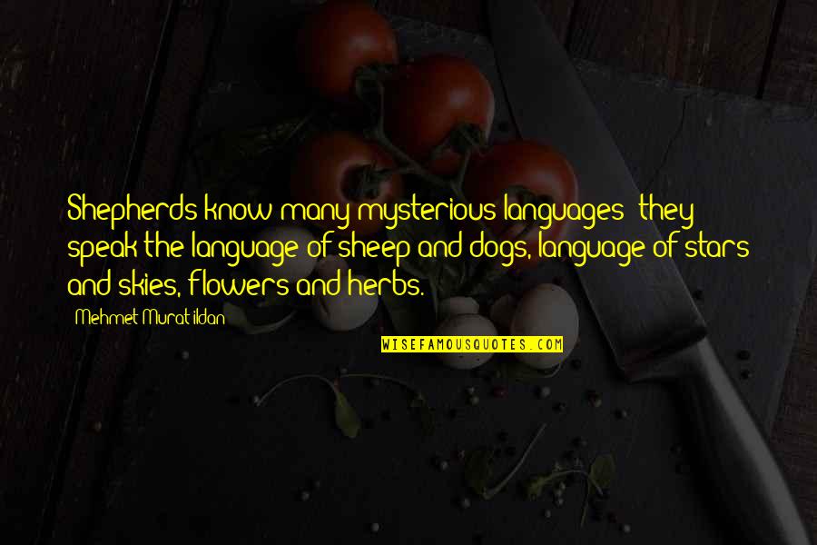 Disgree Quotes By Mehmet Murat Ildan: Shepherds know many mysterious languages; they speak the