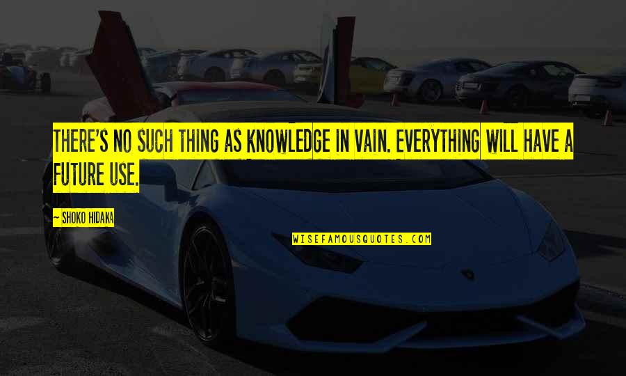 Disgrega Significado Quotes By Shoko Hidaka: There's no such thing as knowledge in vain.