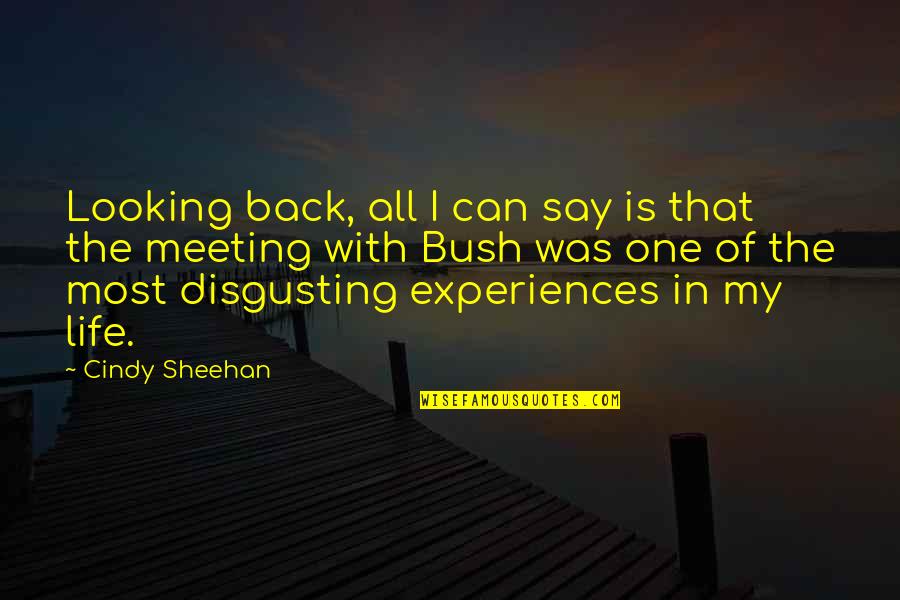 Disgusting Life Quotes By Cindy Sheehan: Looking back, all I can say is that