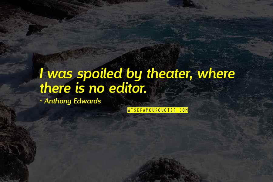 Dishcloths With Scrubber Quotes By Anthony Edwards: I was spoiled by theater, where there is