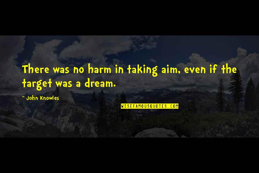 Dishonest Way Of Life Quotes By John Knowles: There was no harm in taking aim, even
