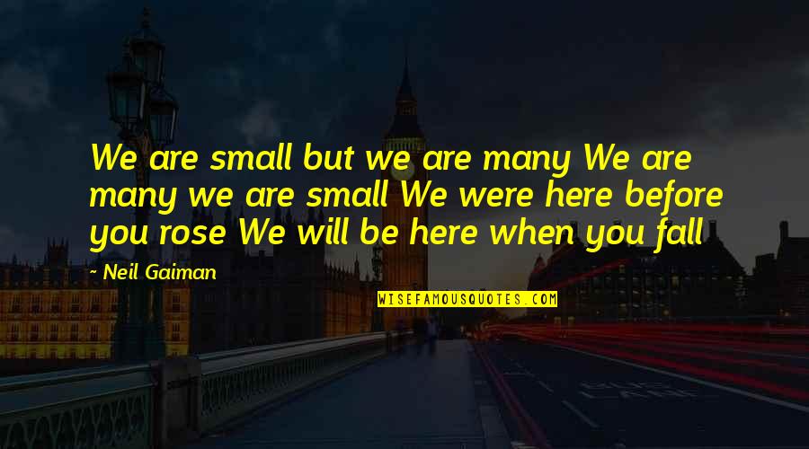 Dishongh And Jankowski Quotes By Neil Gaiman: We are small but we are many We