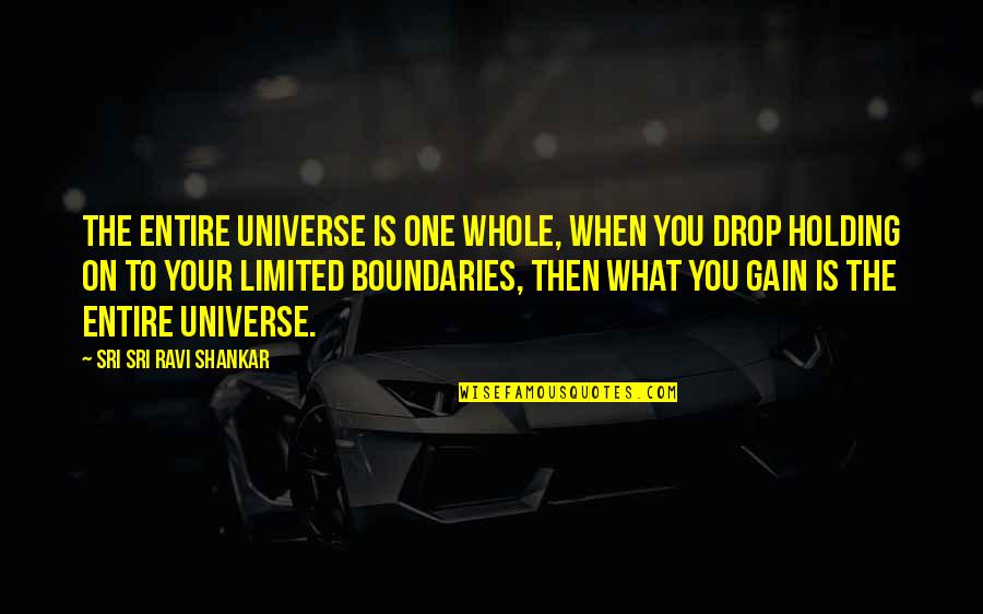 Dishonoured Quotes By Sri Sri Ravi Shankar: The entire universe is one whole, when you