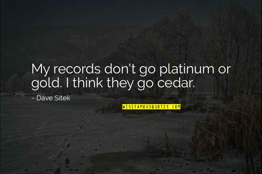 Dishy Rishi Quotes By Dave Sitek: My records don't go platinum or gold. I