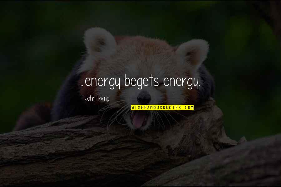 Disidente Significado Quotes By John Irving: ...energy begets energy.