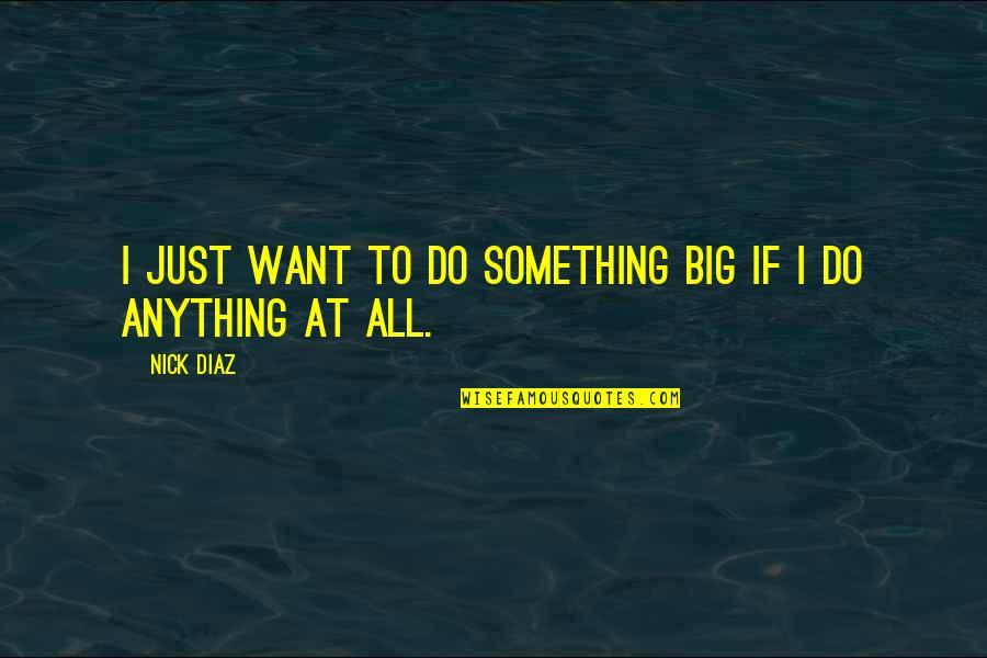 Disinfectants Quotes By Nick Diaz: I just want to do something big if