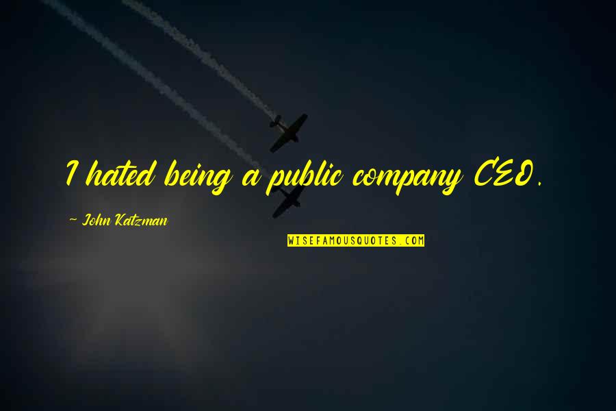 Disintegrative Disorder Quotes By John Katzman: I hated being a public company CEO.