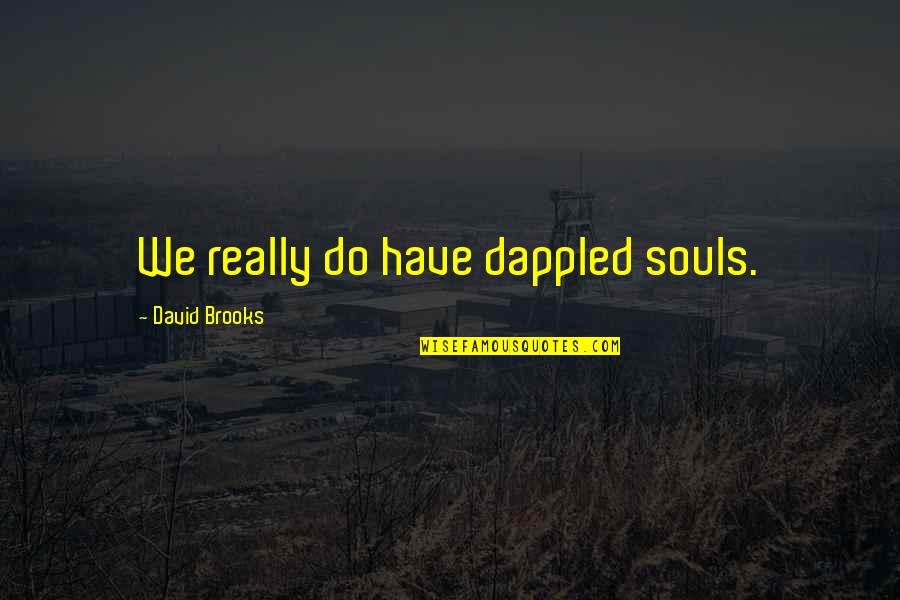 Disires Quotes By David Brooks: We really do have dappled souls.