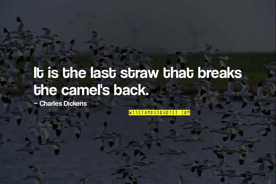 Disirih Quotes By Charles Dickens: It is the last straw that breaks the Disirih Quotes By Charles Dickens: It is the last straw that breaks the
