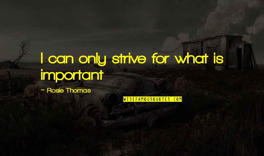 Disjad Quotes By Rosie Thomas: I can only strive for what is important Disjad Quotes By Rosie Thomas: I can only strive for what is important