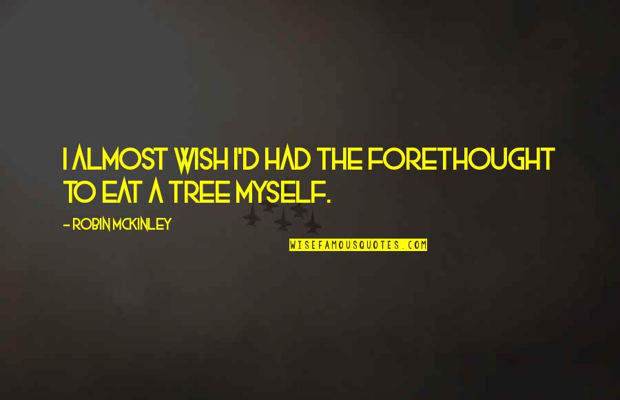 Diskebi Quotes By Robin McKinley: I almost wish I'd had the forethought to Diskebi Quotes By Robin McKinley: I almost wish I'd had the forethought to