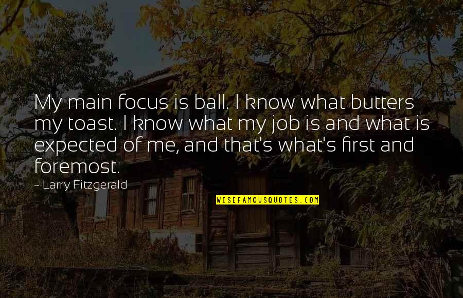 Dislodge Quotes By Larry Fitzgerald: My main focus is ball. I know what