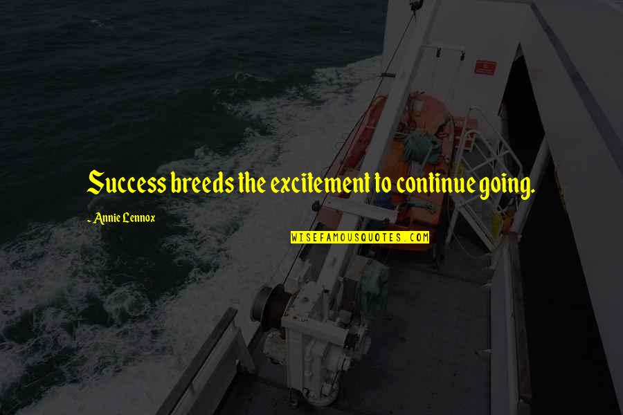 Dismay Love Quotes By Annie Lennox: Success breeds the excitement to continue going.