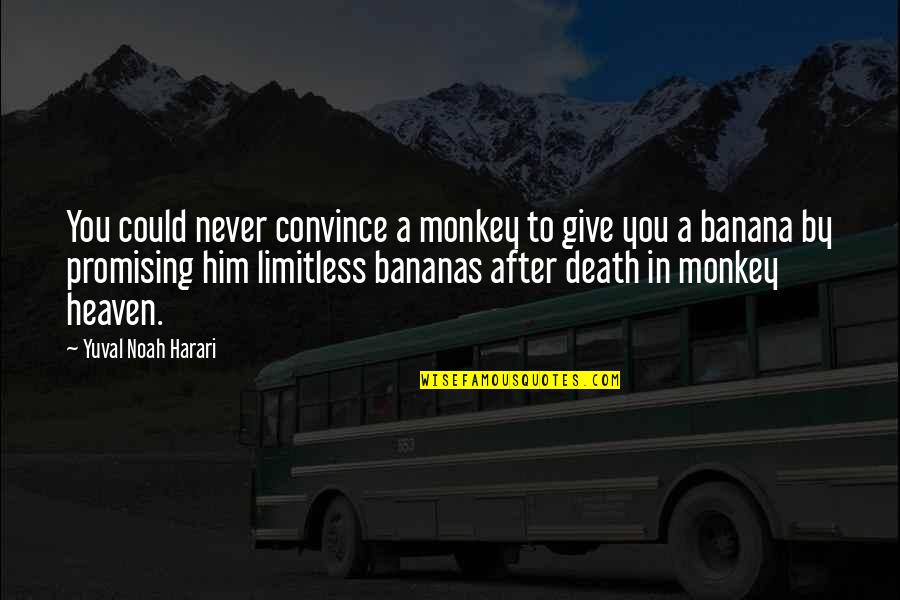 Disnat Quotes By Yuval Noah Harari: You could never convince a monkey to give Disnat Quotes By Yuval Noah Harari: You could never convince a monkey to give