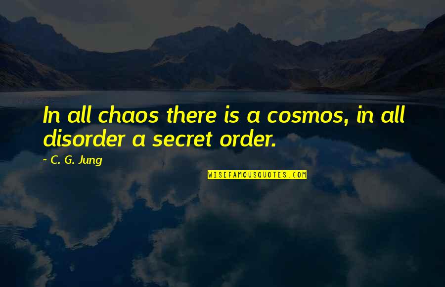 Disorder Quotes By C. G. Jung: In all chaos there is a cosmos, in