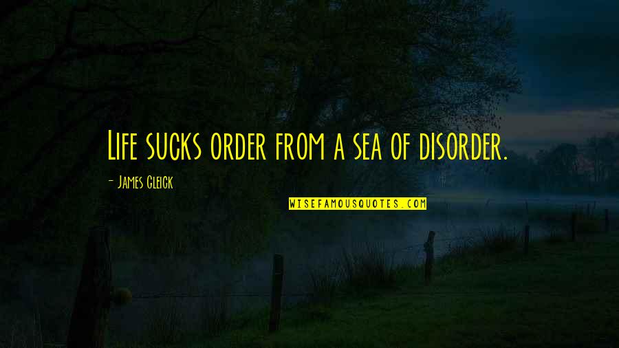 Disorder'd Quotes By James Gleick: Life sucks order from a sea of disorder. Disorder'd Quotes By James Gleick: Life sucks order from a sea of disorder.