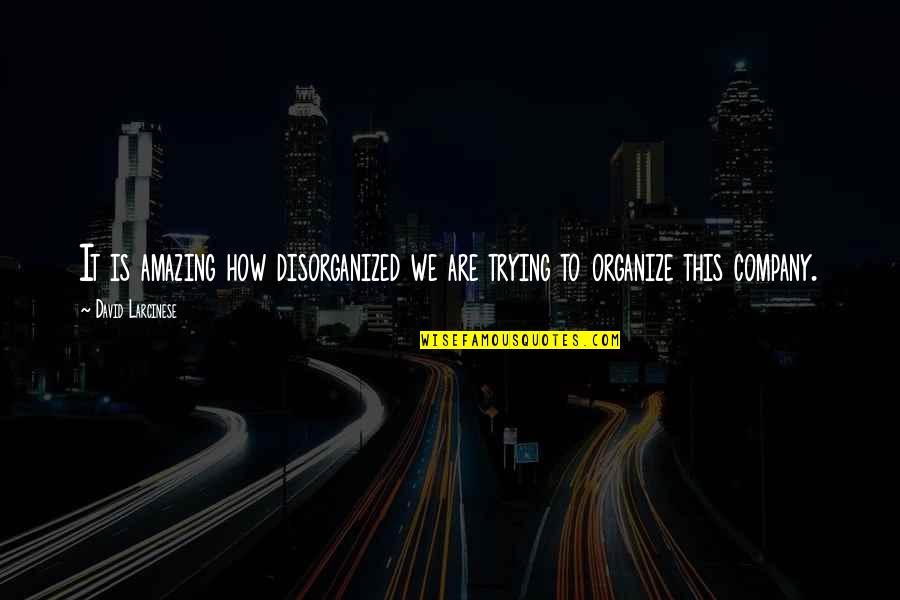 Disorganized Quotes By David Larcinese: It is amazing how disorganized we are trying