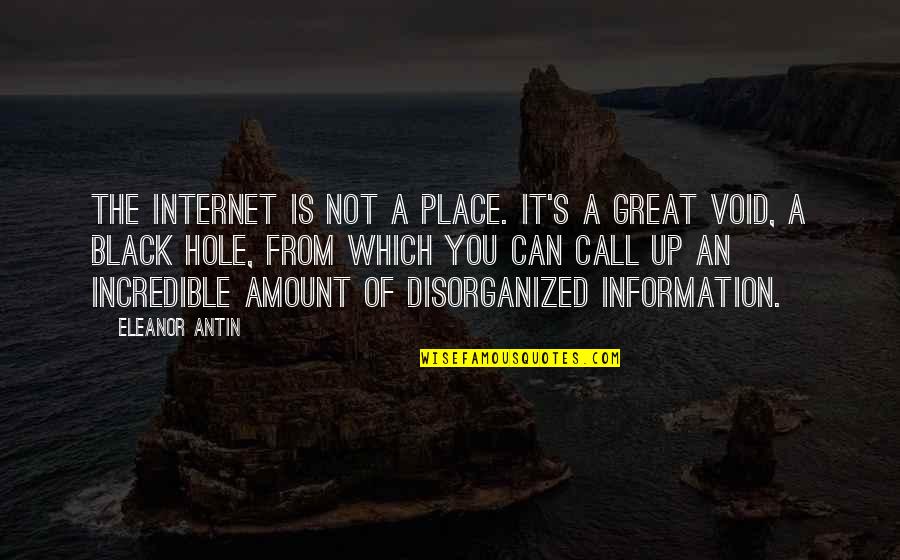Disorganized Quotes By Eleanor Antin: The Internet is not a place. It's a
