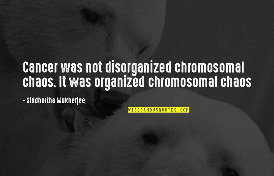 Disorganized Quotes By Siddhartha Mukherjee: Cancer was not disorganized chromosomal chaos. It was
