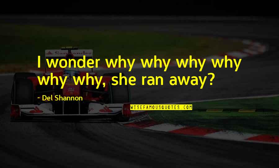 Disorients Quotes By Del Shannon: I wonder why why why why why why, Disorients Quotes By Del Shannon: I wonder why why why why why why,