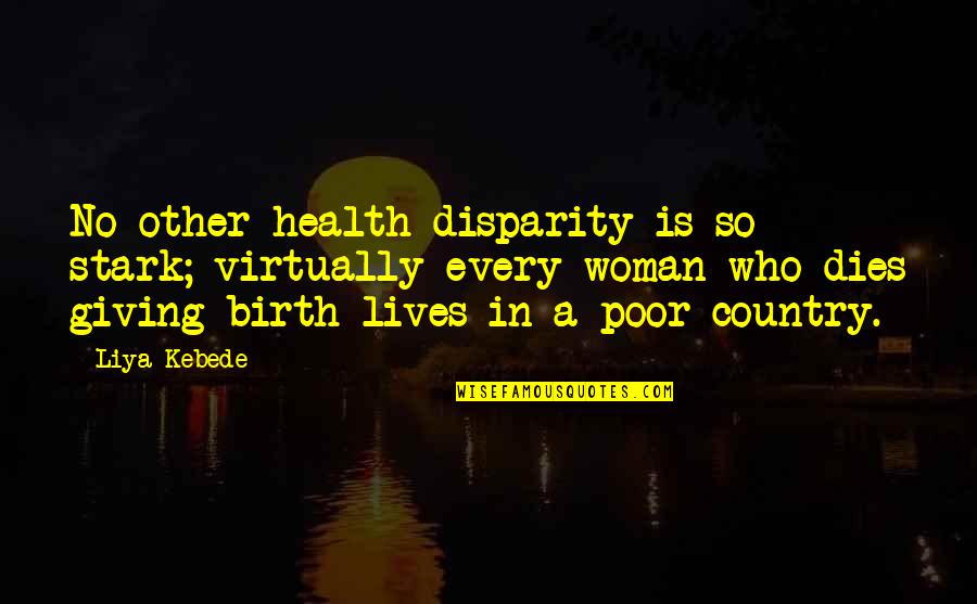 Disparity Quotes By Liya Kebede: No other health disparity is so stark; virtually