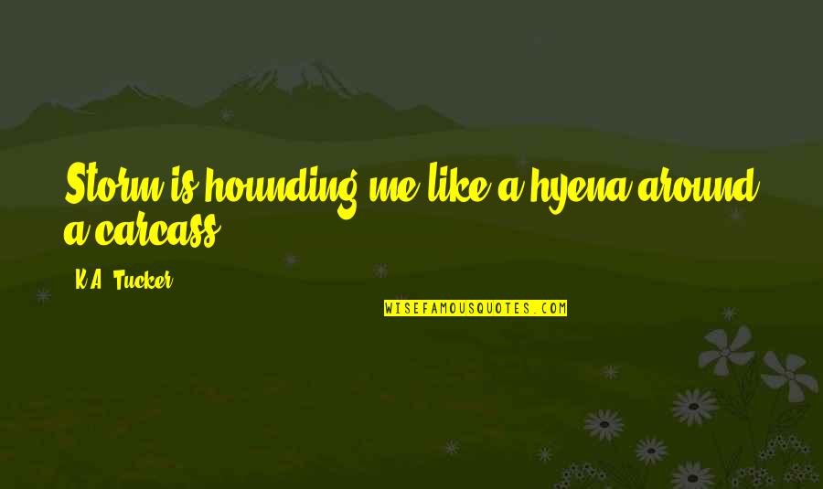 Disparos Quotes By K.A. Tucker: Storm is hounding me like a hyena around