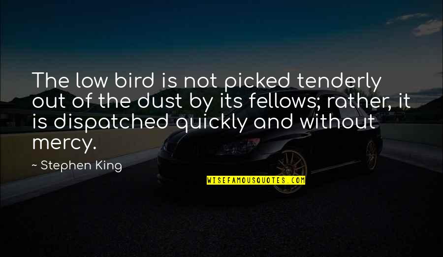 Dispatched Quotes By Stephen King: The low bird is not picked tenderly out