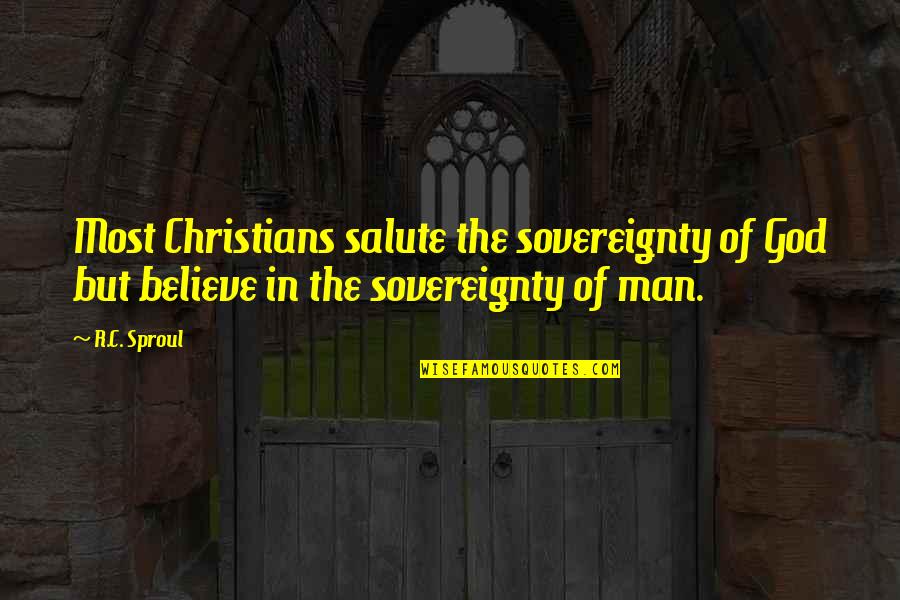 Displaced Persons Quotes By R.C. Sproul: Most Christians salute the sovereignty of God but