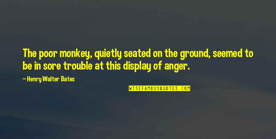 Display Quotes By Henry Walter Bates: The poor monkey, quietly seated on the ground,
