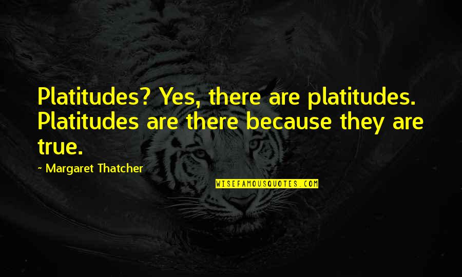 Disposables For Sale Quotes By Margaret Thatcher: Platitudes? Yes, there are platitudes. Platitudes are there Disposables For Sale Quotes By Margaret Thatcher: Platitudes? Yes, there are platitudes. Platitudes are there