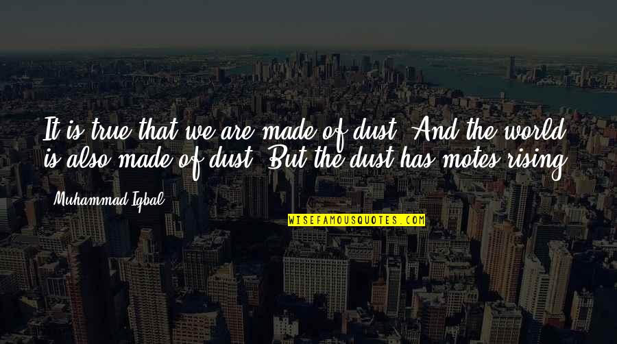 Dispustaka Quotes By Muhammad Iqbal: It is true that we are made of