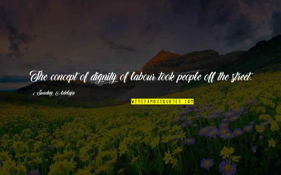 Disputanta Quotes By Sunday Adelaja: The concept of dignity of labour took people Disputanta Quotes By Sunday Adelaja: The concept of dignity of labour took people