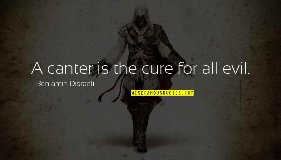 Disraeli Quotes By Benjamin Disraeli: A canter is the cure for all evil.