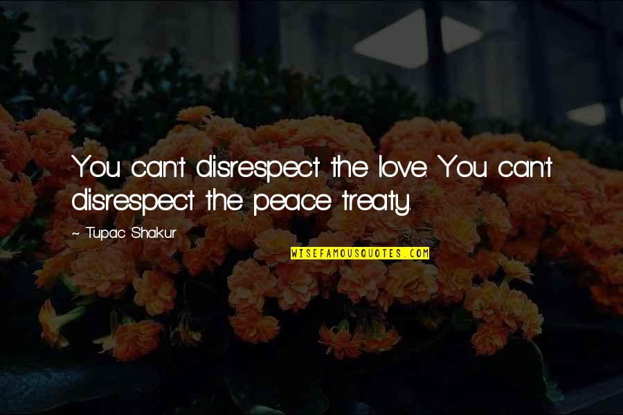 Disrespect In Love Quotes By Tupac Shakur: You can't disrespect the love. You can't disrespect