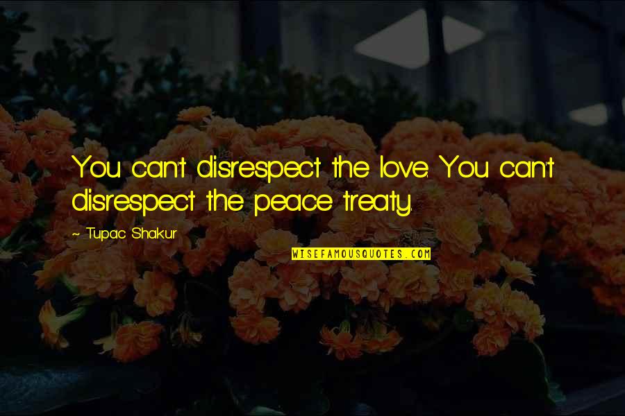 Disrespect Quotes By Tupac Shakur: You can't disrespect the love. You can't disrespect