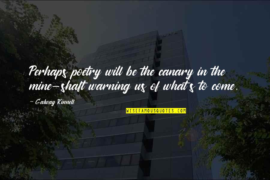 Disrespect When Someone Treats You Badly Quotes By Galway Kinnell: Perhaps poetry will be the canary in the