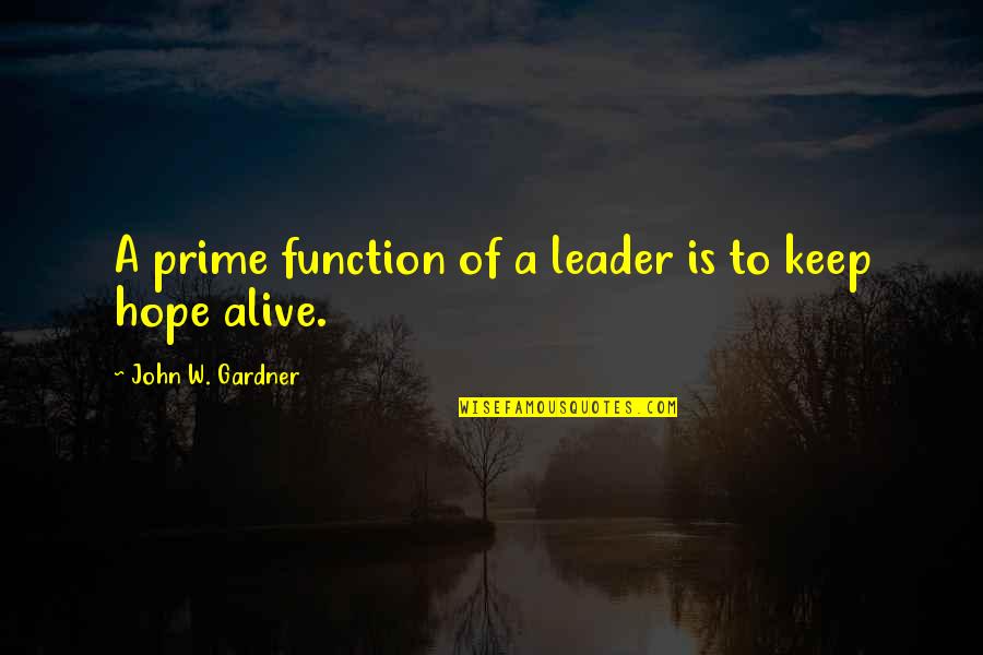 Disrespectful Guys Quotes By John W. Gardner: A prime function of a leader is to