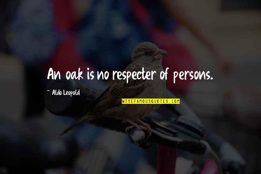 Disrespecting Mother Quotes By Aldo Leopold: An oak is no respecter of persons.