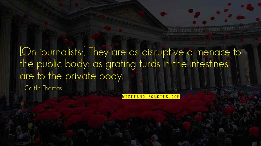 Disruptive Quotes By Caitlin Thomas: [On journalists:] They are as disruptive a menace