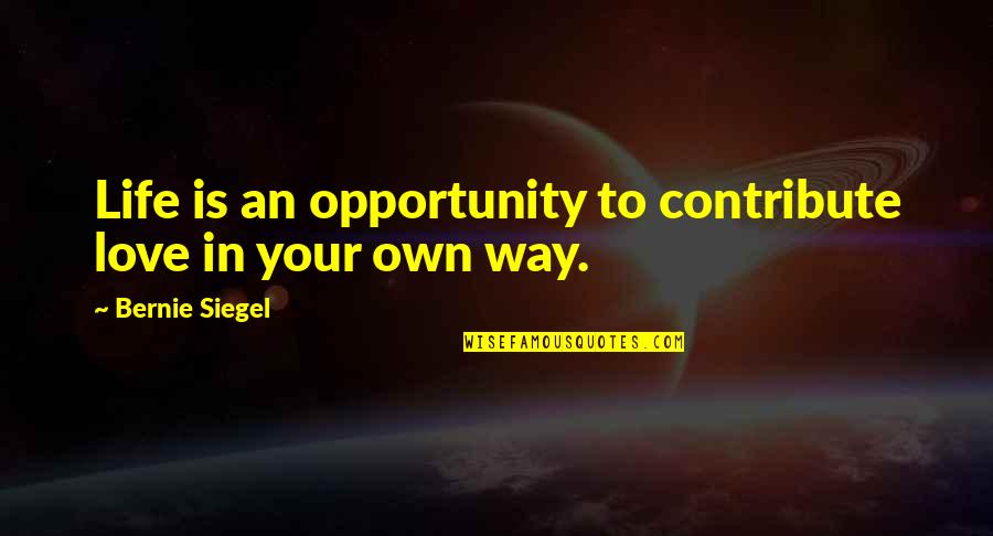 Diss Rap Quotes By Bernie Siegel: Life is an opportunity to contribute love in Diss Rap Quotes By Bernie Siegel: Life is an opportunity to contribute love in