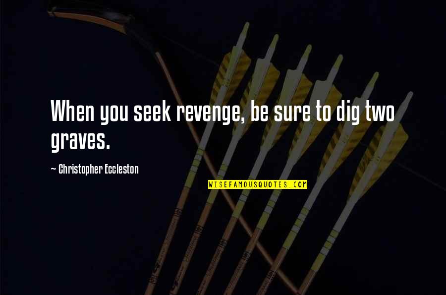 Dissapoint Quotes By Christopher Eccleston: When you seek revenge, be sure to dig