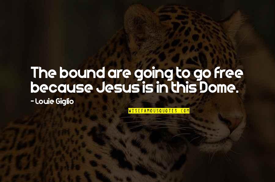 Dissaving Quotes By Louie Giglio: The bound are going to go free because